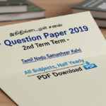 8th Question Paper 2019 2nd Term